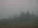 08 : 19