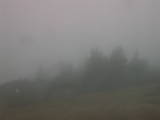 08 : 33