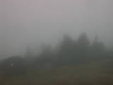 08 : 39