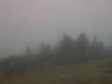 08 : 41