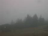 08 : 53