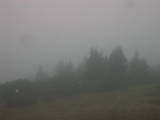 09 : 05