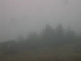 09 : 21