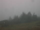 09 : 45