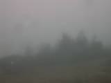 10 : 37