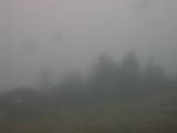 11 : 45