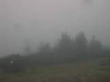 12 : 21