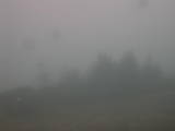 12 : 25