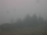 12 : 37