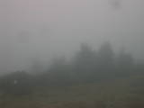 12 : 53