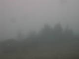 13 : 01