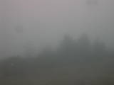 13 : 13