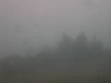 14 : 21