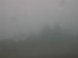15 : 05