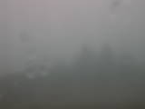 15 : 29