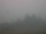 08 : 33