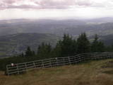 13 : 53