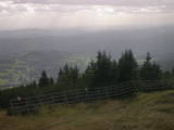 16 : 29