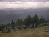 16 : 49