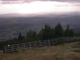 17 : 17