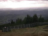 17 : 21