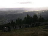 17 : 29