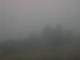07 : 41