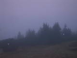 06 : 33