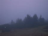 06 : 41