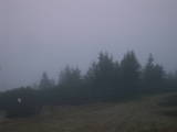07 : 15