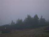 07 : 17