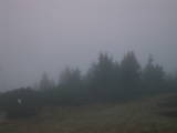 07 : 29