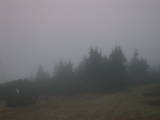 07 : 41