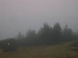 07 : 59