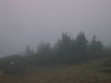 08 : 33