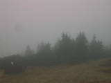 14 : 13