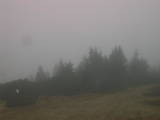 14 : 17