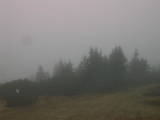 14 : 45