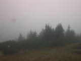 15 : 33