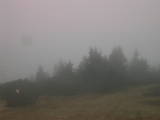 15 : 37