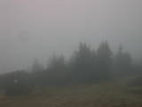 15 : 49