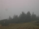 16 : 17