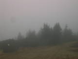 16 : 25