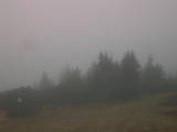 16 : 33