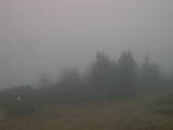 16 : 49