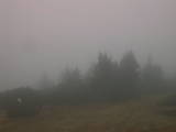 17 : 17