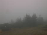 17 : 25