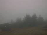 17 : 41