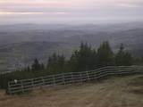 17 : 29