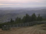 17 : 31